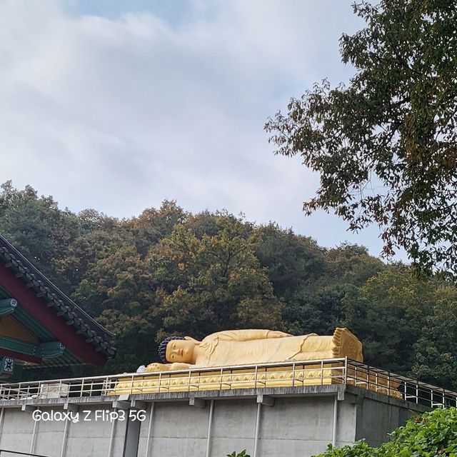 산자락을 배경으로 한 와불